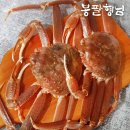 농업회사법인 세양(주)