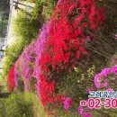 구립 하늘숲어린이집 이미지