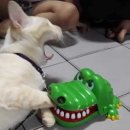 스타벅스 앞 이미지