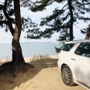 소천2리 가무유원지입구 | (12월10일) 가깝고 저렴한 당일 바다캠핑이 가능한 실미유원지 다둥이가족 가볍게 떠나볼까~