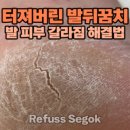 레푸스강남세곡점 이미지