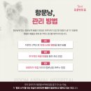 엄지동물병원 네이버블로그