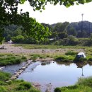 공릉천자전거도로변 이미지