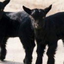 최승농장 이미지