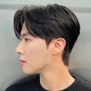 새미컷 네이버블로그