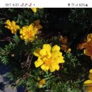 신대호수 이미지