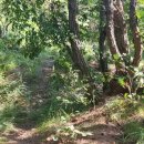 죽천2리경로당 이미지