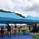 모디푸드트럭 이미지