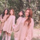 위클리