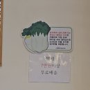 장수옥 | 별내 맛집 장수옥설렁탕 방문후기