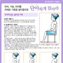 바른자세활법