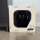 개님은 털빨 | 5kg 고양이 생일 선물 추천 원목 숨숨집 그린웨일 Z3 후기
