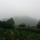 양평토박이부동산공인중개사사무소 이미지