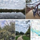 다사지구대 맞은편공원 코너 | 미국 최대 명절 땡스기빙데이(딸과 오스틴여행)