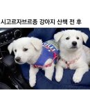 산책
