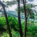 출렁다리(1) 이미지