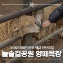 늘솔길공원양떼목장 이미지