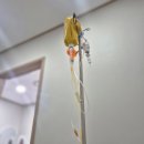 김무곤초심내과의원 | 아피톡신 자율신경계 치료 #5 만성근막통증증후군, 후두신경통, 목디스크, 주사피부염, 자율신경병...