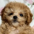 (주)석지 | [한소루의 일상] 5월 첫째 주, 사랑이 가득했던 한 주:)