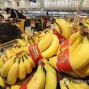 바나나공인중개사사무소 네이버블로그