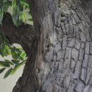 상수리공원 이미지