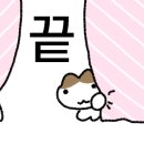 더기베이글 네이버블로그