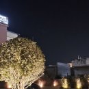 씨유도남지구점 | 대구 칠곡 카페 / 칠곡 대형카페 / 도남지구 카페 콘티 말차라떼 &amp; 파운드 케이크 내돈내산 후기