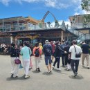 9월22일~26일 3박5일 베트남 나트랑달랏 패키지여행 이미지