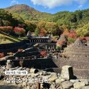 삼성궁주차장 | 하동 삼성궁 단풍 11월 첫째주 실시간 주말 방문 후기 주차장 입장료 정보