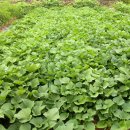 희망찬농장 이미지