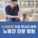 광주첨단YB동물병원 이미지