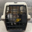 스마트동물병원 성북길음점 이미지