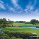 동부권 골프연습장 이미지