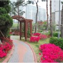 우림필유공인중개사사무소 이미지