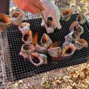 소바추 펜션 이미지