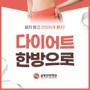 솔빛한방병원 | 신월동다이어트한의원, 왜 굶어? (ft.솔빛한방병원)