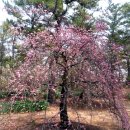 여난농장 이미지