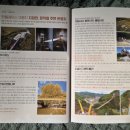 명봉산솔밭관광농원오토캠핑장 이미지