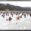 평창송어 이미지