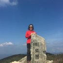 1500 | 콘드로이친 1500 내돈내산 솔직 후기