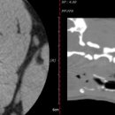 천안24시스카이동물메디컬센터 이미지
