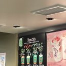 2025 2월 OSAKA 오사카 여행 기록 ; 쇼핑, 맛집, The birthday 공연