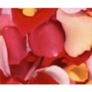 장미식품 이미지