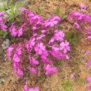 도연농원 이미지