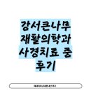 서울큰나무병원 | (내돈내산) 강서큰나무재활의학과 아기 사경치료 중 후기 / 사경 물리치료