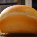 팬브레드 이미지