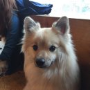 카페히릿 이미지