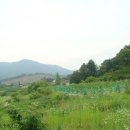 소태면사무소 이미지