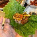 들꽃세상 | 들꽃세상정식 제주 우럭튀김 백반 먹고온 후기