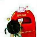 바다새